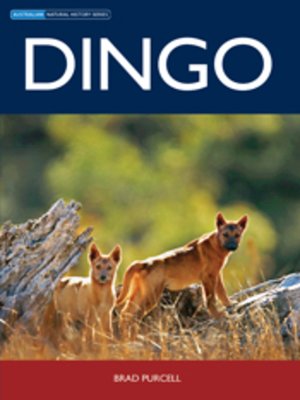 cover image of Dingo